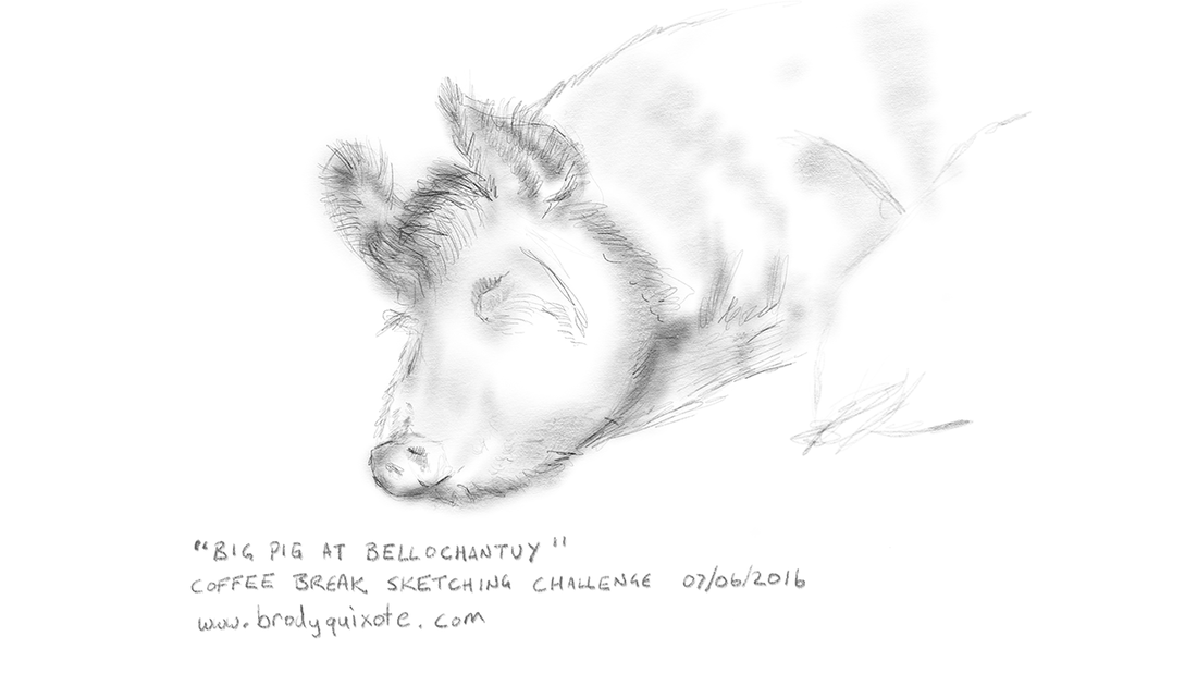 A sketch of a big pig from Bellochantuy, as part of the brodyquixote 