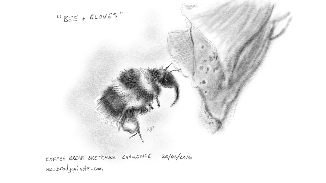 Penci illustration of a bee collecting pollen from a foxglove, by brodyquixote