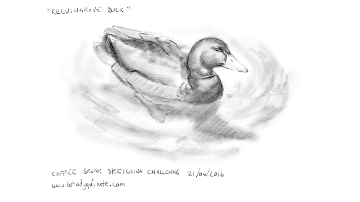 An illustration of a duck by brodyquixote
