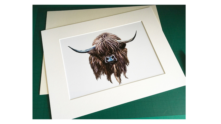 A photo of a highland cow print being framed.